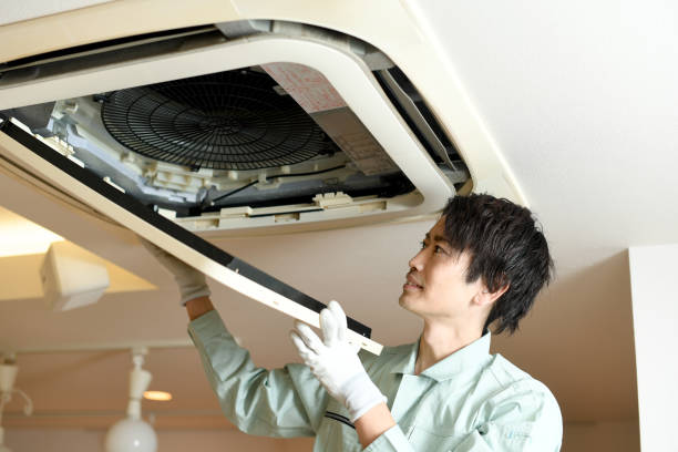 Best Commercial Air Duct Cleaning  in Roanoke, IN