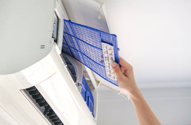 Best Dryer Vent Cleaning Services  in Roanoke, IN