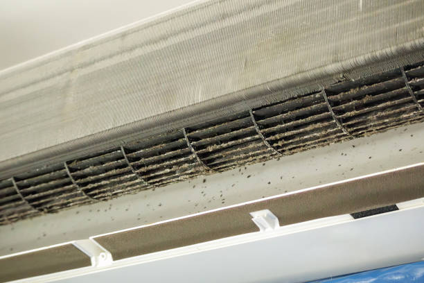 Best Air Duct Cleaning Near Me  in Roanoke, IN