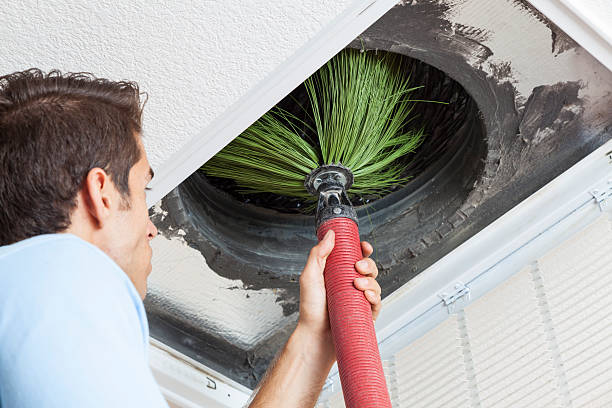 Best Residential Air Duct Cleaning  in Roanoke, IN