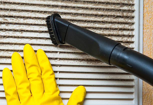 Best Air Duct Cleaning Near Me  in Roanoke, IN