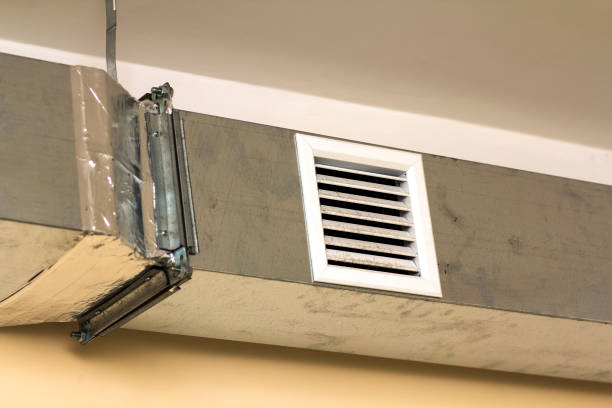 Best HVAC Duct Inspection Services  in Roanoke, IN