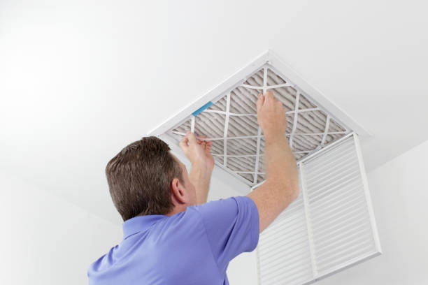 Best Air Duct Cleaning Near Me  in Roanoke, IN